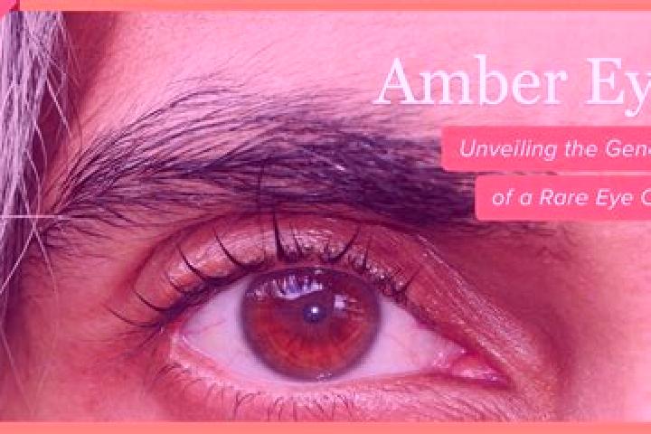 Aria, 33, a black amber-eyed mediterranean companion based in Ridong. Offering BDSM, CIM, Girlfriend Experience, Couples. Available for incall and outcall, d...