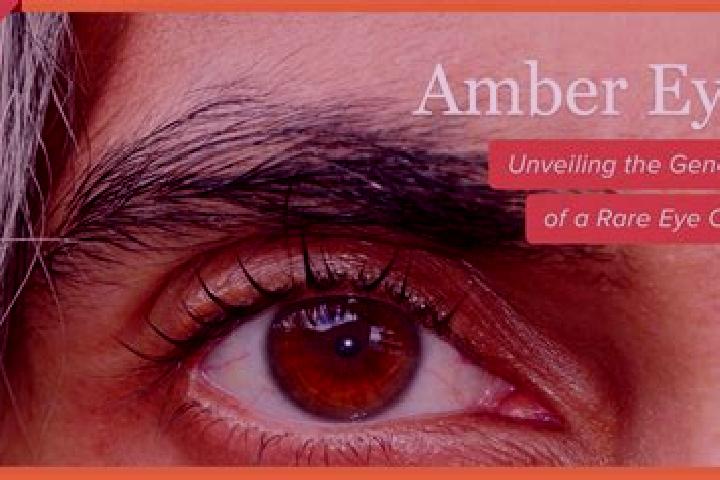 Aria, 33, a red amber-eyed caribbean companion based in Laniscat. Offering Overnight, BDSM, Girlfriend Experience. Available for incall and outcall, overnigh...