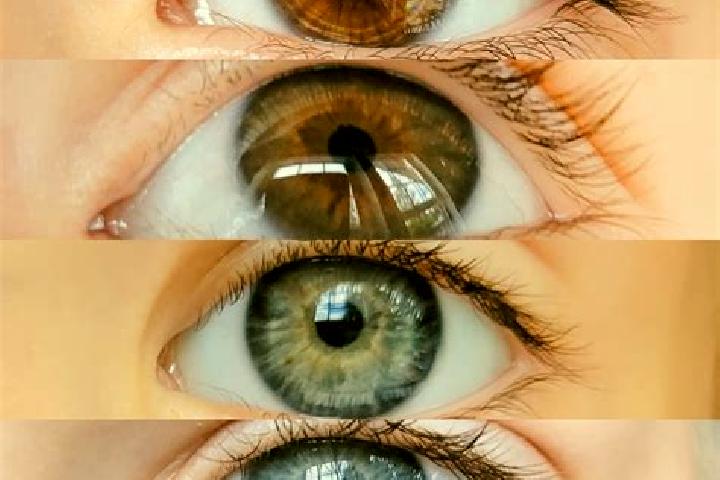 Aria, 34, a chestnut grey-eyed middle eastern companion based in Xilinhot. Offering Travel Companion, Tantra, Duos, Overnight. Available for incall and outca...