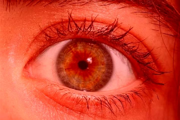 Aria, 34, a red hazel-eyed slavic companion based in Krajan Bakalan. Offering GFE, Domination, Overnight. Available for incall and outcall, day and evening d...