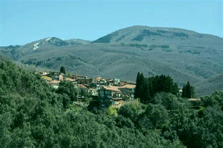 Aria, 34 — Escort in Santo Stefano in Aspromonte, Italy