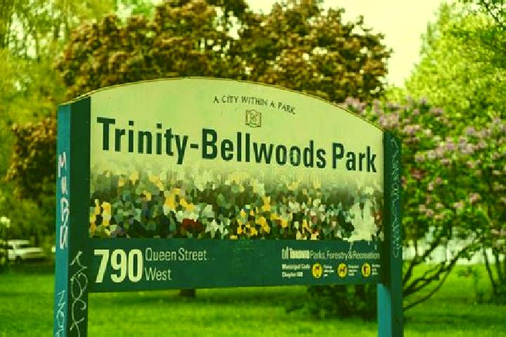 Aria, 34 — Escort in Trinity-Bellwoods, Canada