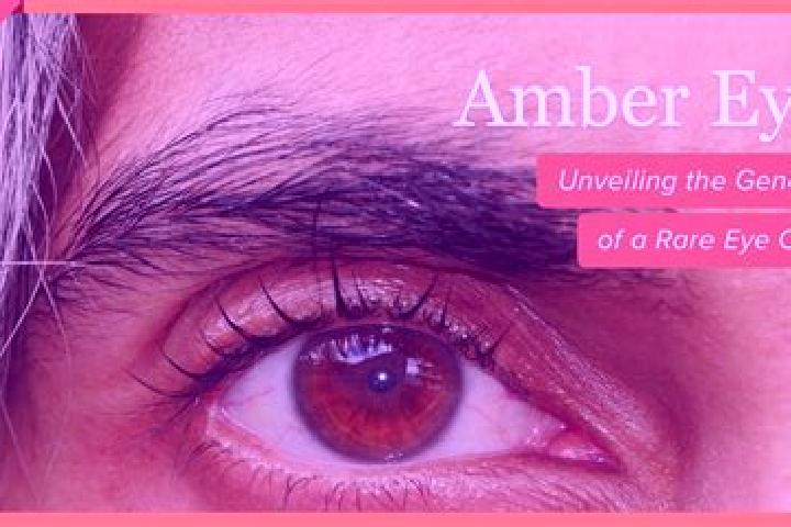 Aria, 35, a dark blonde amber-eyed mixed companion based in Escheburg. Offering Fetish, GFE, A-Level. Available for incall and outcall, day and evening dates.