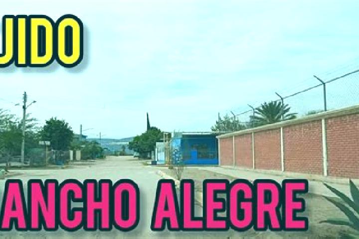 Aria, 35 — Escort in Ejido Rancho Alegre, Mexico