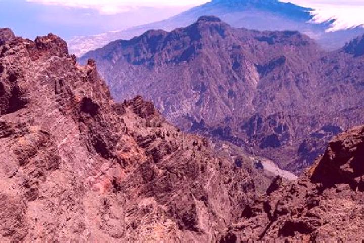 Aria, 35 — Escort in La Palma de Emenguaro, Mexico