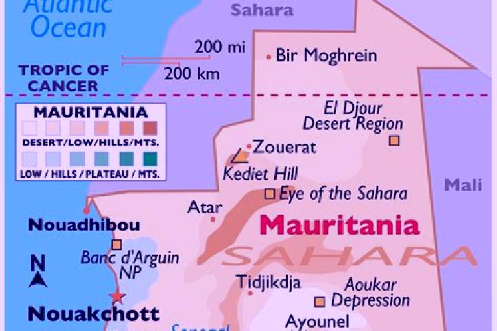 Aria, 35 — Escort in Selibaby, Mauritania