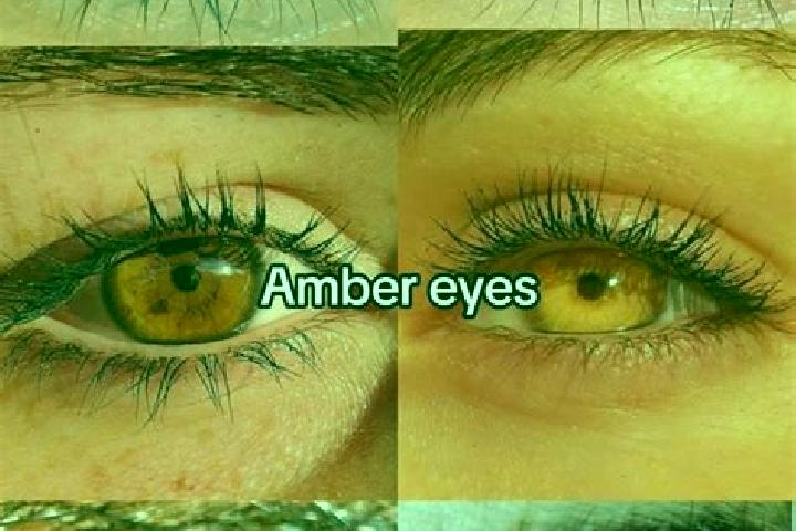 Aria, 36, a brunette amber-eyed middle eastern companion based in Borfink. Offering Domination, Couples, GFE. Available for incall and outcall, overnight boo...
