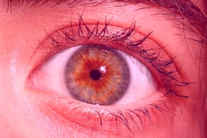Aria, 36, a red hazel-eyed latina companion based in Izamal. Offering Fetish, OWO, Dinner Date, Overnight. Available for incall and outcall, overnight bookin...