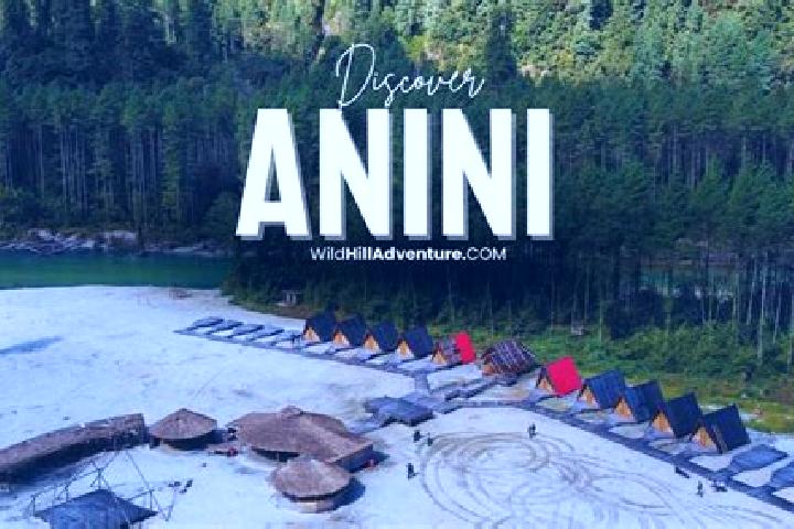 Aria, 36 — Escort in Anini, India