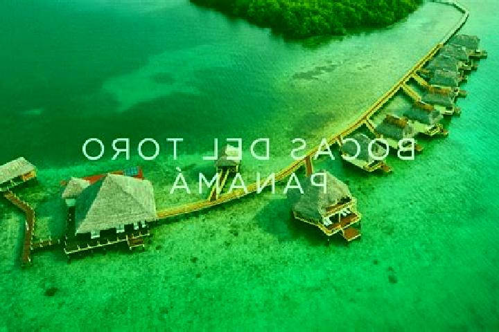 Aria, 36 — Escort in Bocas del Toro, Panama
