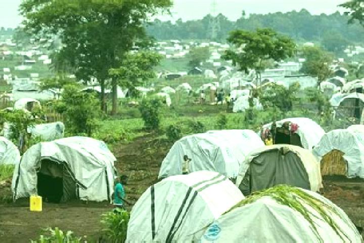 Aria, 36 — Escort in Kyangwali Refugee Camp, Uganda