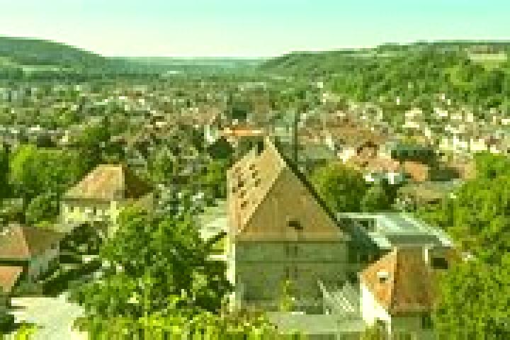 Aria, 36 — Escort in Schneckenlohe, Germany