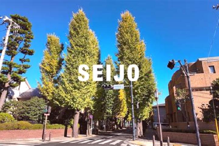Aria, 36 — Escort in Setagaya, Japan