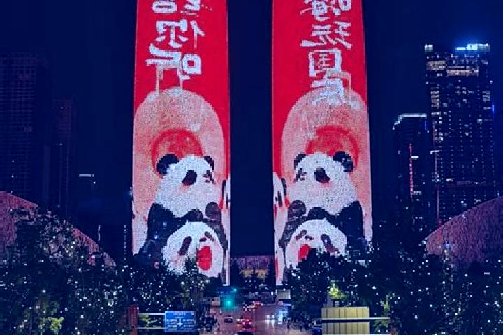 Aria, 36 — Escort in Zhuoshui, China