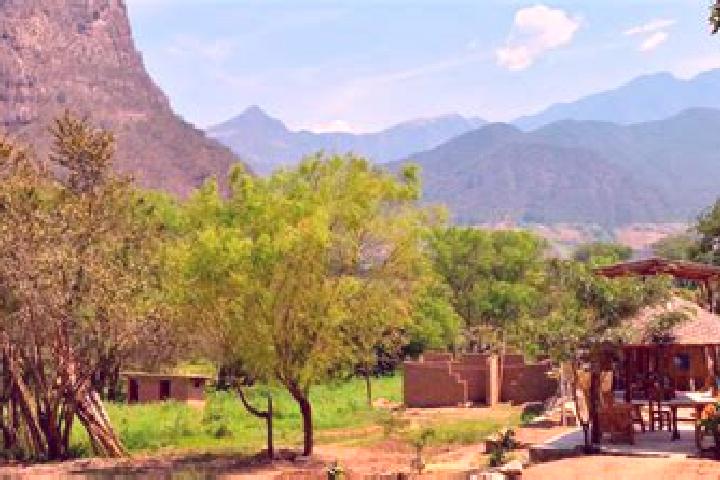 Aria, 37 — Escort in El Refugio de los Sauces, Mexico