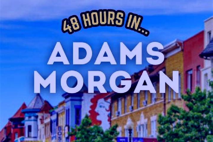 Aria, 38 — Escort in Adams Morgan, United States