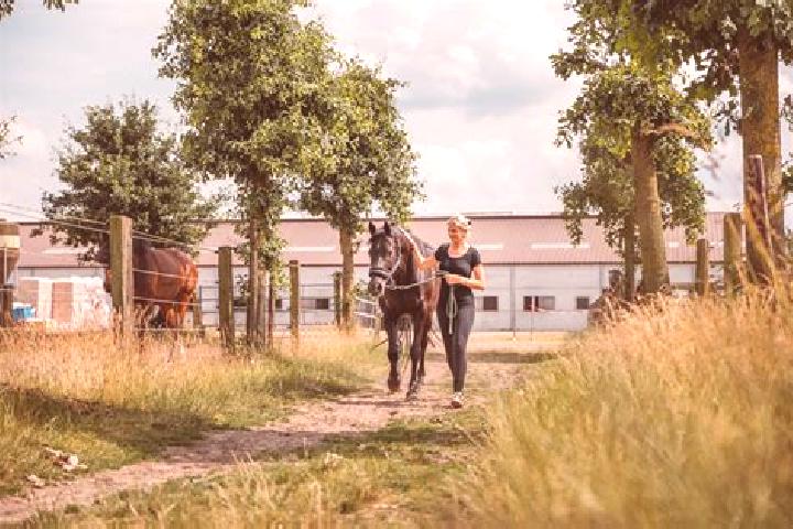 Aria, 38 — Escort in Snelrewaard, Netherlands