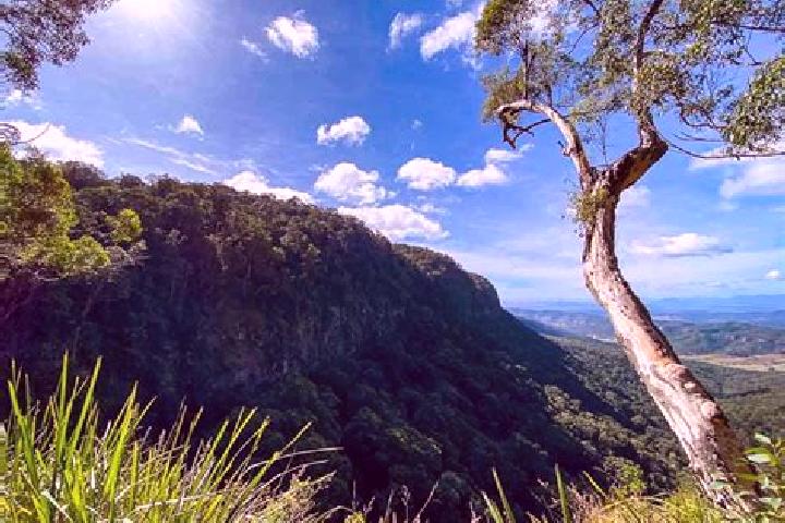 Aria, 39 — Escort in Canungra, Australia
