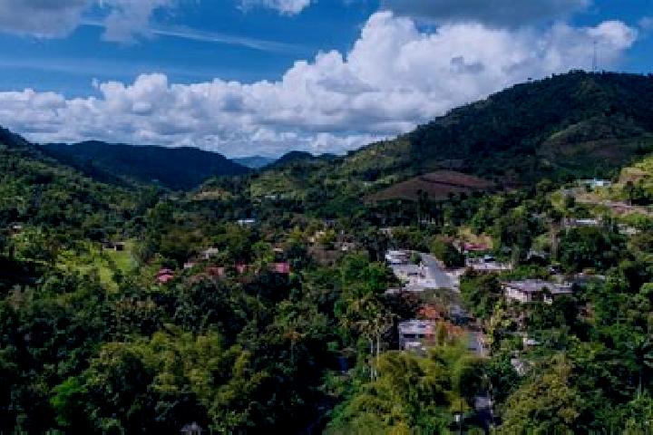 Aria, 39 — Escort in Ciales, Puerto Rico