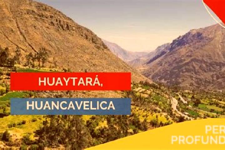 Aria, 39 — Escort in Huaytara, Peru