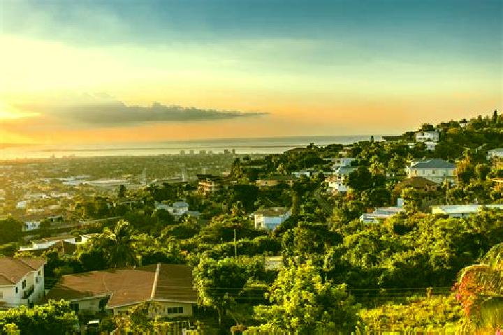 Aria, 39 — Escort in Limit, Jamaica