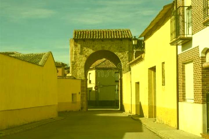 Aria, 39 — Escort in Mayorga, Spain