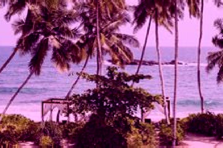 Aria, 39 — Escort in Tangalle, Sri Lanka
