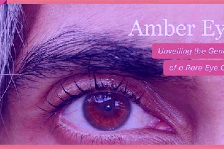 Ariana, 20, a black amber-eyed european companion based in Brecha 124 con Via de FFCC. Offering Domination, Prostate Massage, A-Level, Girlfriend Experience,...