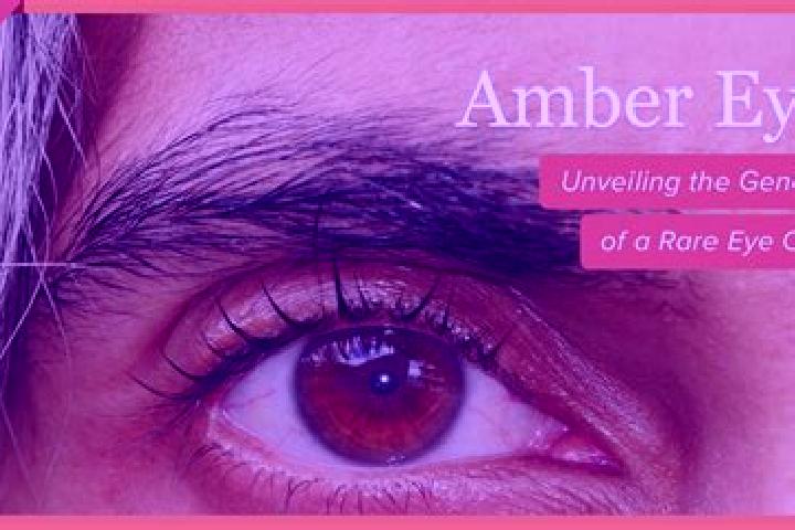 Ariana, 20, a black amber-eyed slavic companion based in Bufalo. Offering Overnight, Domination, Couples, Fetish, Dinner Date. Available for incall and outca...
