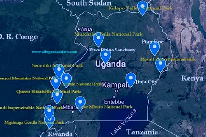Ariana, 20 — Escort in Rubanda, Uganda