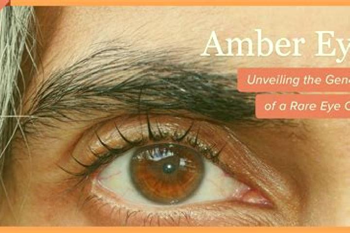 Ariana, 21, a red amber-eyed european companion based in Taquara. Offering Fetish, Massage, 69. Available for incall and outcall, overnight bookings available.