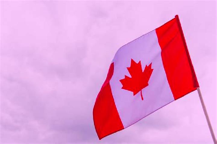 Ariana, 21 — Escort in Bell s Turn, Canada