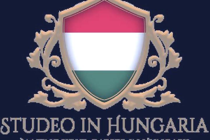 Ariana, 21 — Escort in Dunaujvaros, Hungary