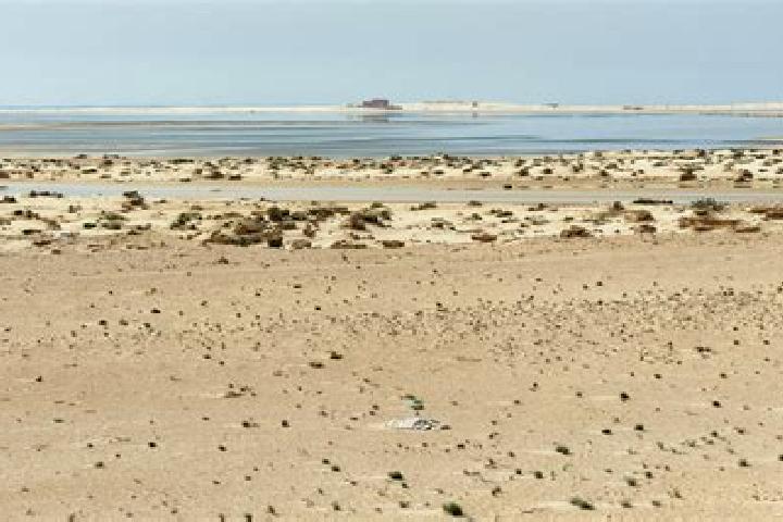 Ariana, 21 — Escort in Nouadhibou, Mauritania