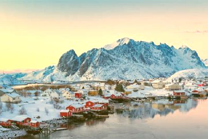 Ariana, 21 — Escort in Reine, Norway