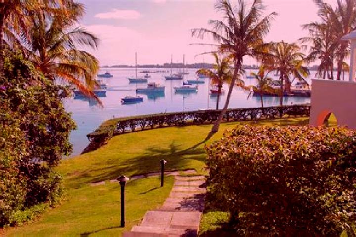 Ariana, 21 — Escort in Smith s Parish, Bermuda