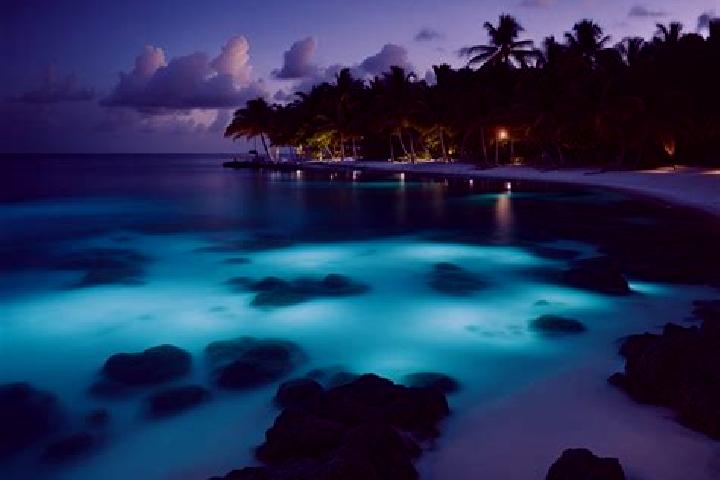 Ariana, 21 — Escort in Water Ground, Cayman Islands
