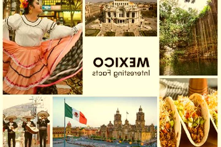 Ariana, 21 — Escort in Zoquite, Mexico