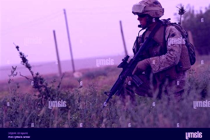 Ariana, 22 — Escort in Ar Rutbah, Iraq