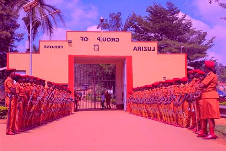 Ariana, 22 — Escort in Bulambuli, Uganda