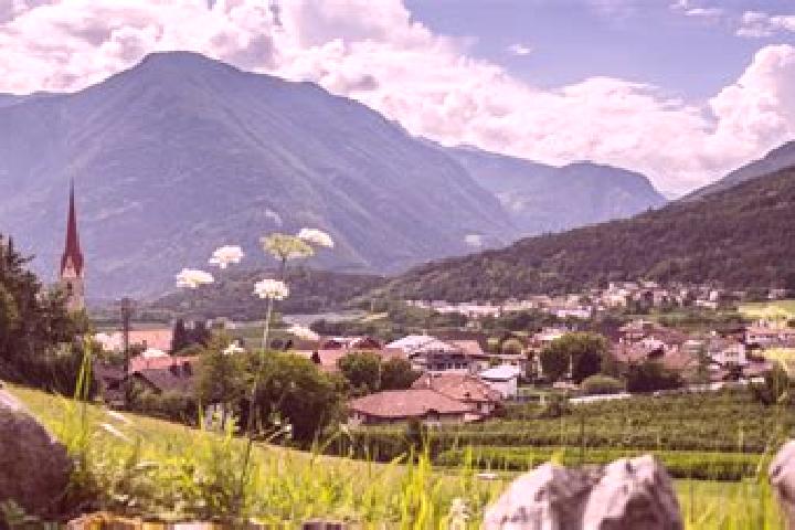 Ariana, 23 — Escort in Naz-Sciaves - Natz-Schabs, Italy