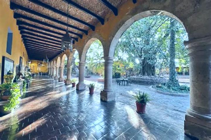 Ariana, 23 — Escort in Tlachichuca, Mexico