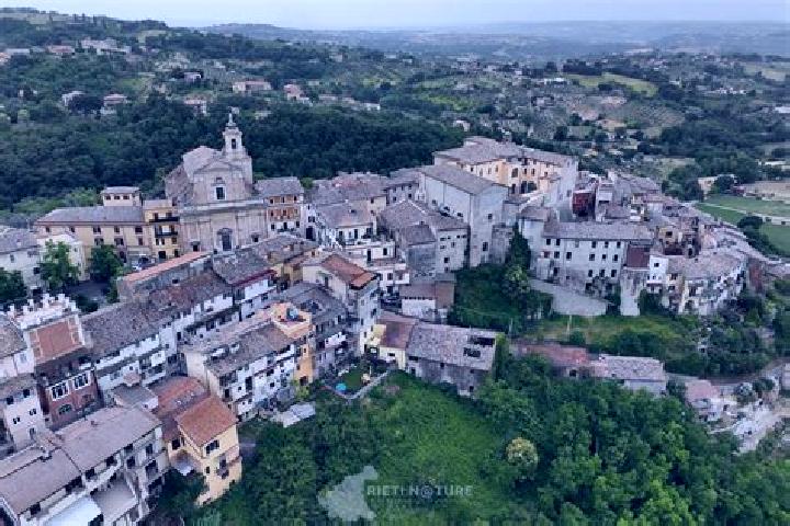 Ariana, 24 — Escort in Cantalupo in Sabina, Italy