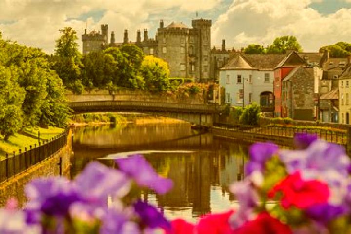Ariana, 24 — Escort in Thomastown, Ireland