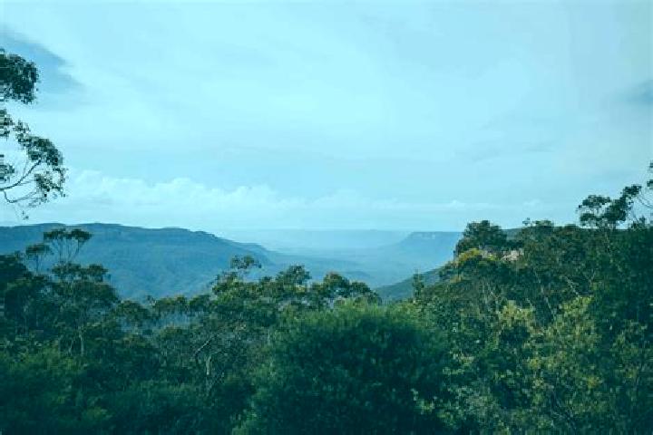 Ariana, 24 — Escort in Wentworth Falls, Australia