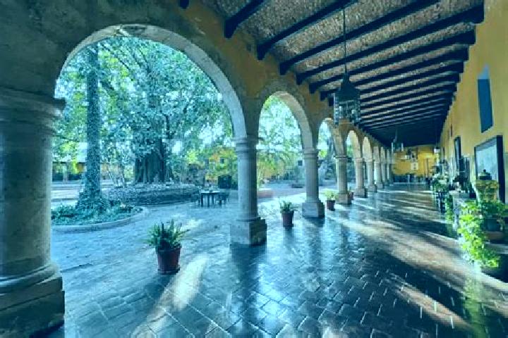 Ariana, 25, a chestnut dark-eyed indian companion based in Villas de la Hacienda [Fraccionamiento]. Offering 69, Girlfriend Experience, Travel Companion, BDS...