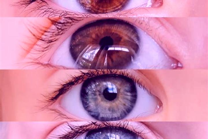 Ariana, 25, a chestnut grey-eyed middle eastern companion based in Parennes. Offering Roleplay, GFE, Tantra, BDSM, Girlfriend Experience. Available for incal...