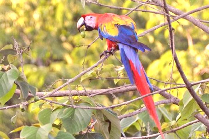 Ariana, 25 — Escort in El Guacamayo, Colombia