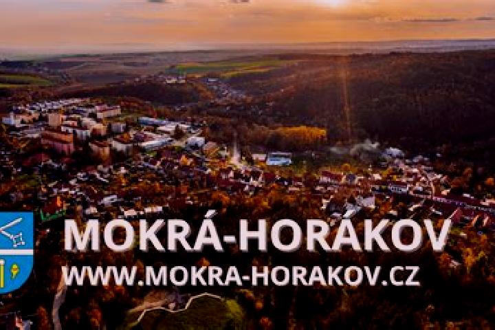 Ariana, 25 — Escort in Mokra-Horakov, Czech Republic