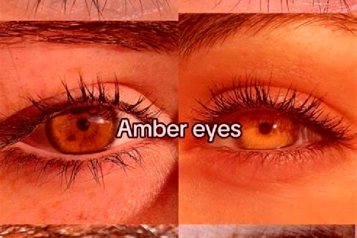 Ariana, 26, a chestnut amber-eyed indian companion based in Eiken. Offering Overnight, Striptease. Available for incall and outcall, overnight bookings avail...